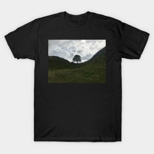 sycamore gap on hadrians wall T-Shirt